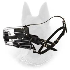 Special and Exclusivee Wire and Leather Combination  Malinois Muzzle