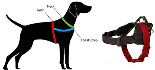 How to measure harness