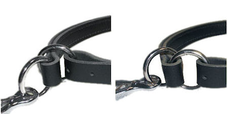 Adjustable Leather Slip Collar with solid NICKEL hardware  for Belgian Malinois