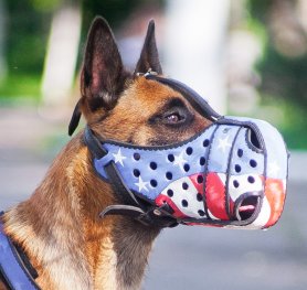 Purchasing the Right Muzzle